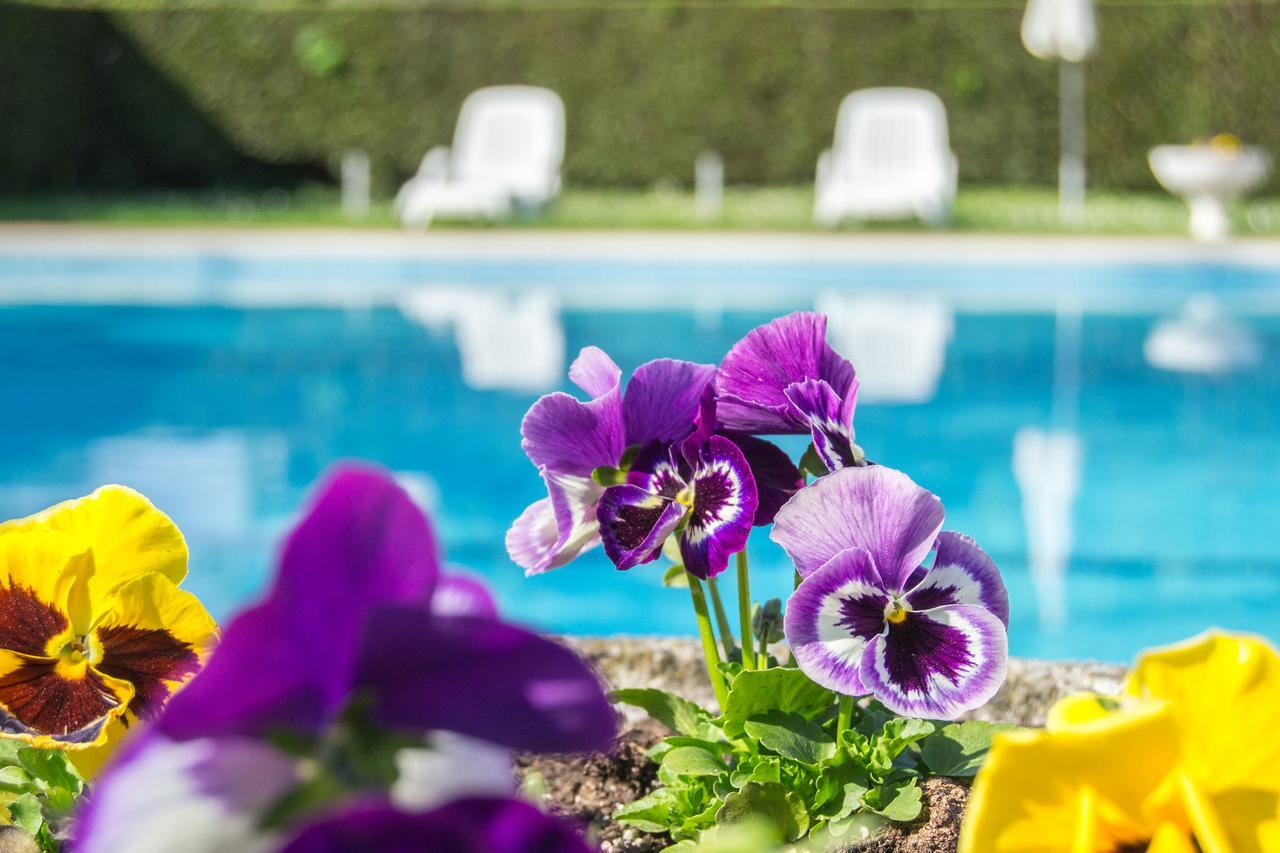 Residence Liana Albisano ตอร์รีเดลเบนาโก ภายนอก รูปภาพ